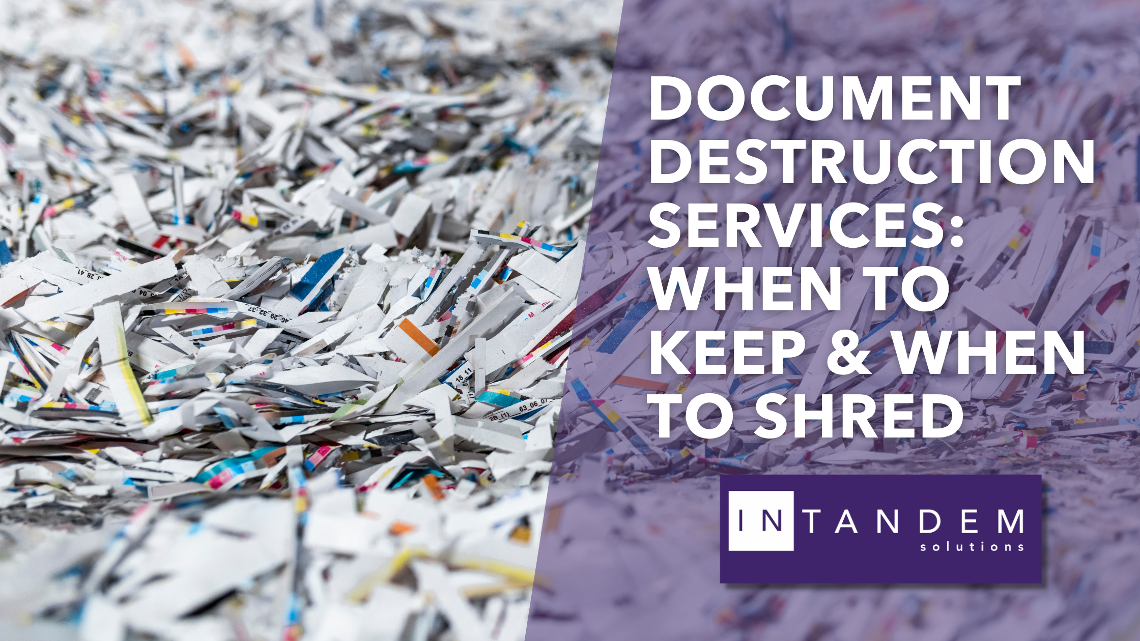 Title: Document Destruction Services: When to Keep & When to Shred. Background of shredded paper.